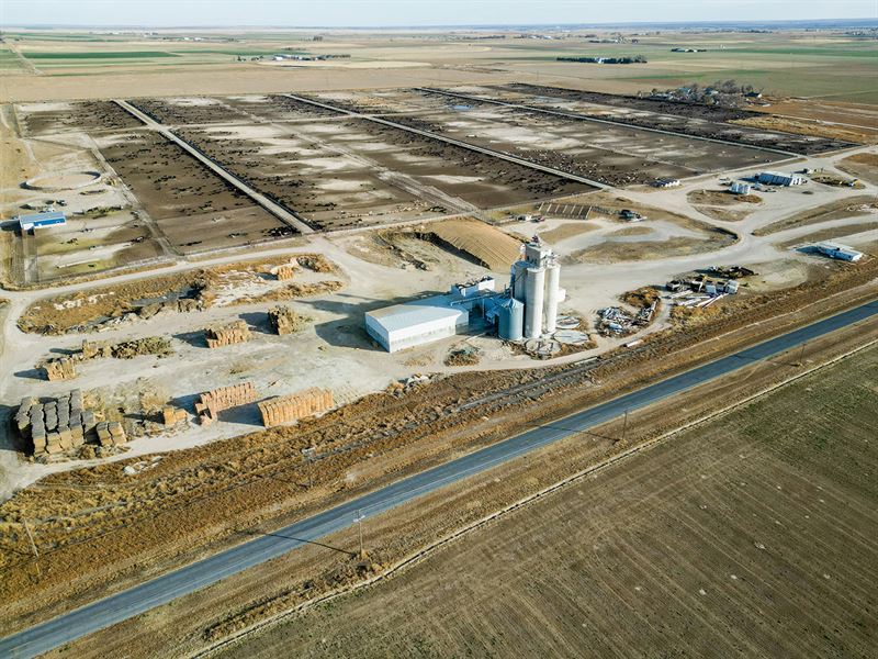 106 Pen Feed Yard for Sale in SE CO, Farm for Sale in Colorado, 339688