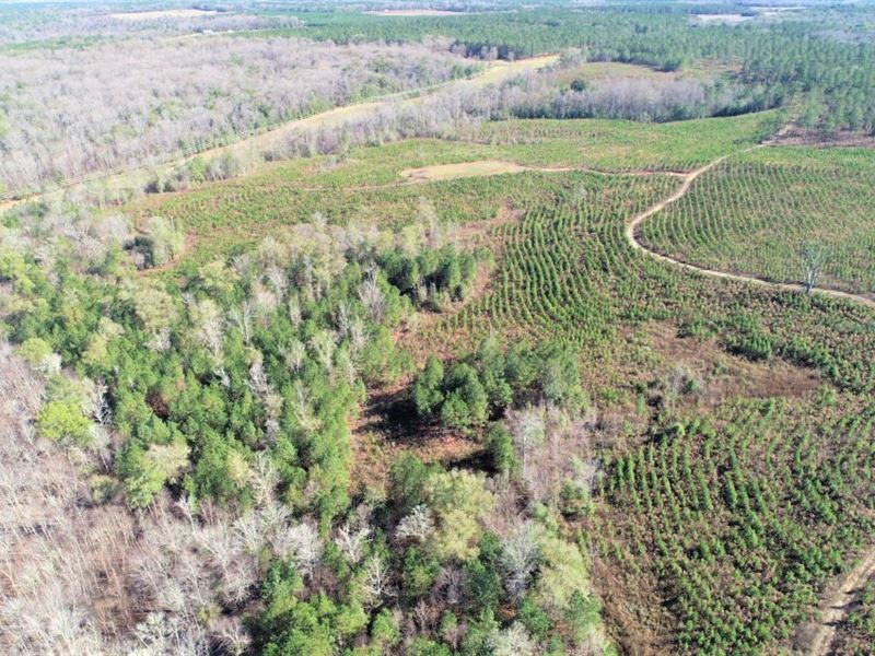Excellent Hunting Retreat : Dublin : Laurens County : Georgia