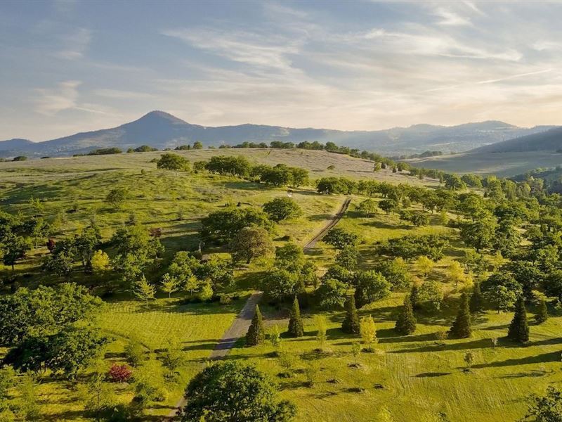 Lookfar Estate Property : Medford : Jackson County : Oregon