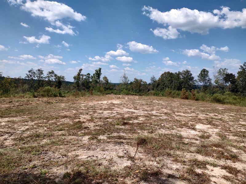 Ariton 14 Acre Big View : Ariton : Dale County : Alabama