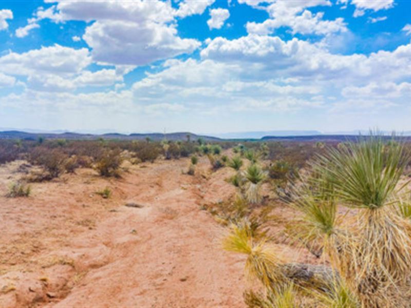 Texas Views in All Directions, Farm for Sale by Owner in Texas, 339891