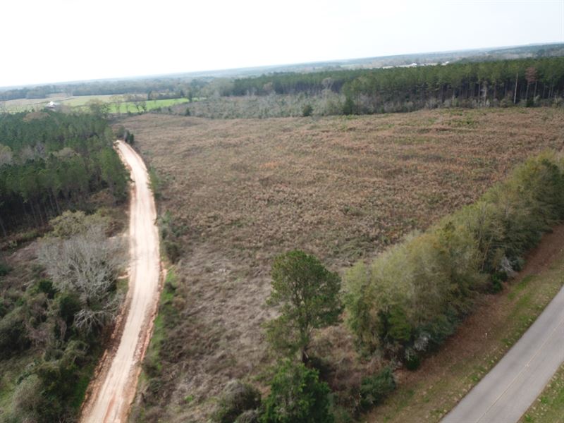 Pine Level Homesite, 9 Ac, Farm for Sale in Alabama, 339894 FARMFLIP