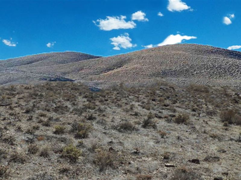 Foothills of The Trinity Mountains : Lovelock : Pershing County : Nevada