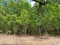 Owner Financed Land In MO : Lebanon : Laclede County : Missouri