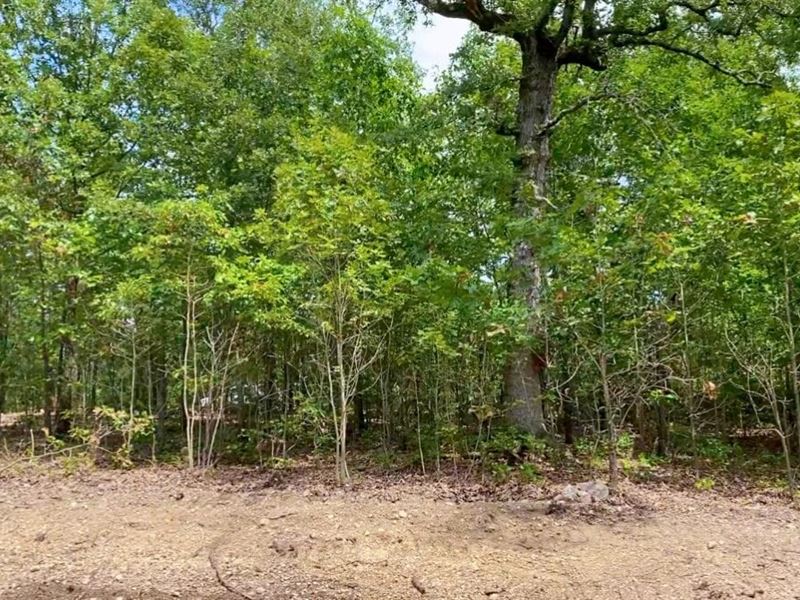 Owner Financed Land in MO, Farm for Sale by Owner in Missouri, 340220 FARMFLIP