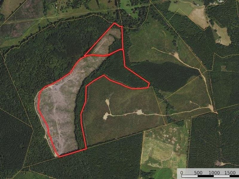 123.07 Acres, Farm for Sale in Virginia, 340270 FARMFLIP