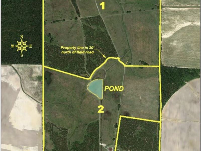 414 Acres of Farm & Cattle Land, Farm Auction in 340324
