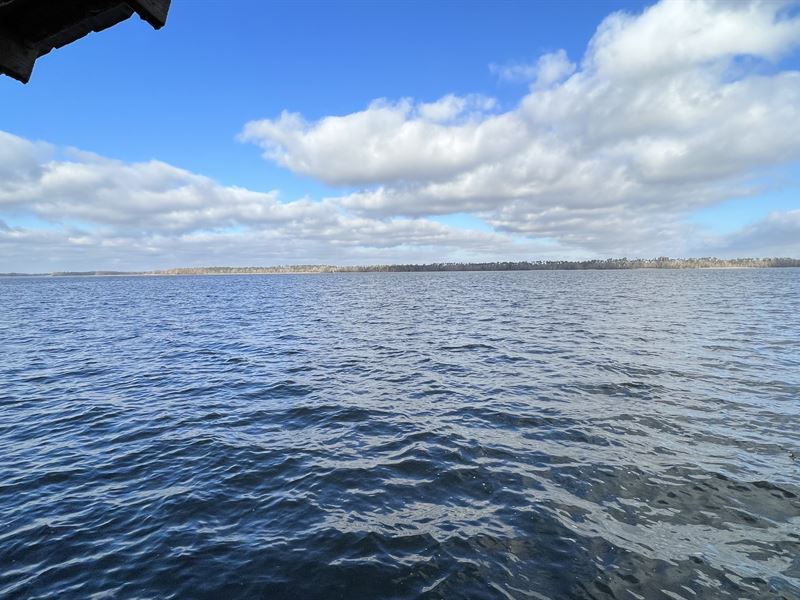 Beautiful Acreage at Lake Seminole : Bainbridge : Decatur County : Georgia