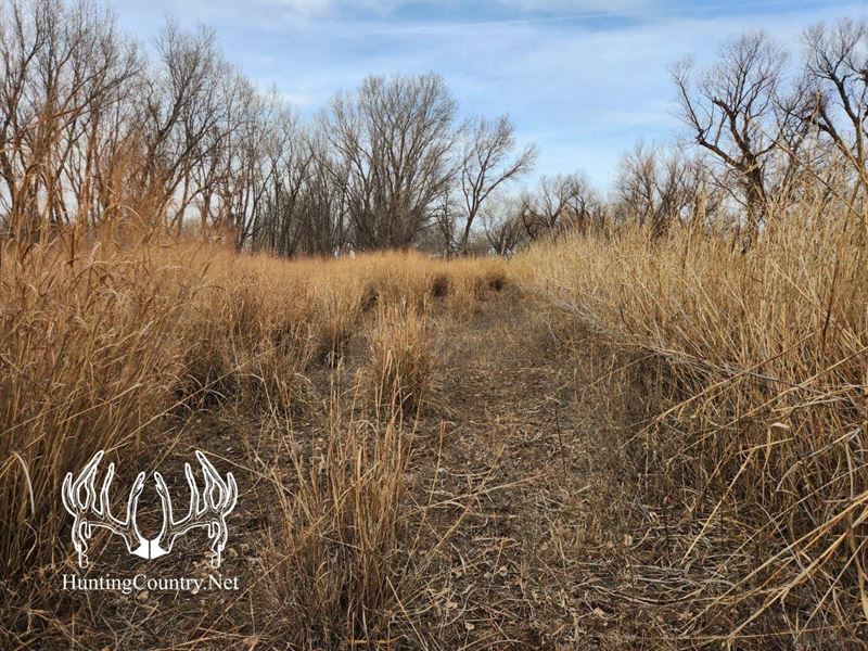 120 Acres M/L of Barber County, KS : Hazelton : Barber County : Kansas