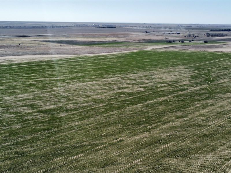 Strasburg Farm on Wolf Creek : Strasburg : Adams County : Colorado