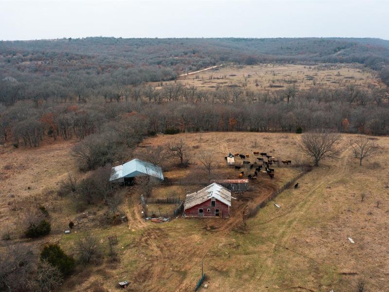 Chautauqua Hills Farm & Hunt, Trac : Sedan : Chautauqua County : Kansas