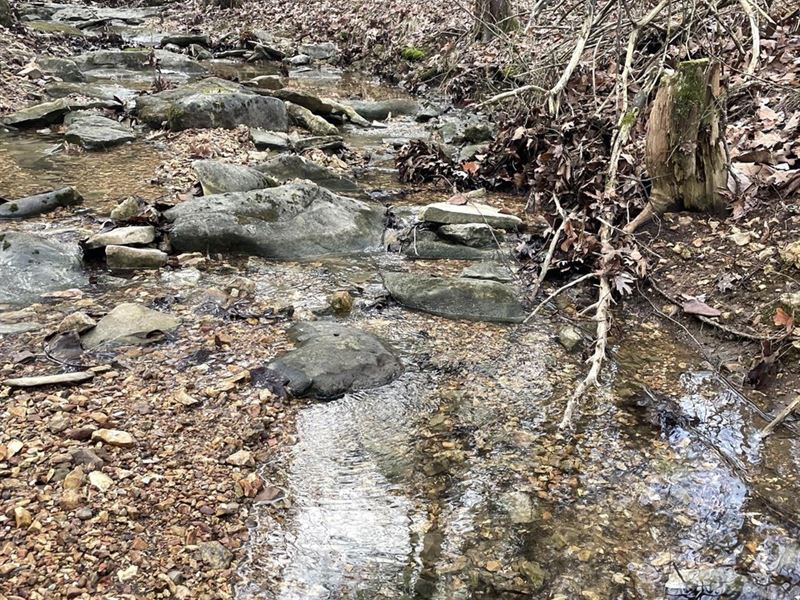 40 Acre Hunting Property, Cave, Farm for Sale in Arkansas, 340501