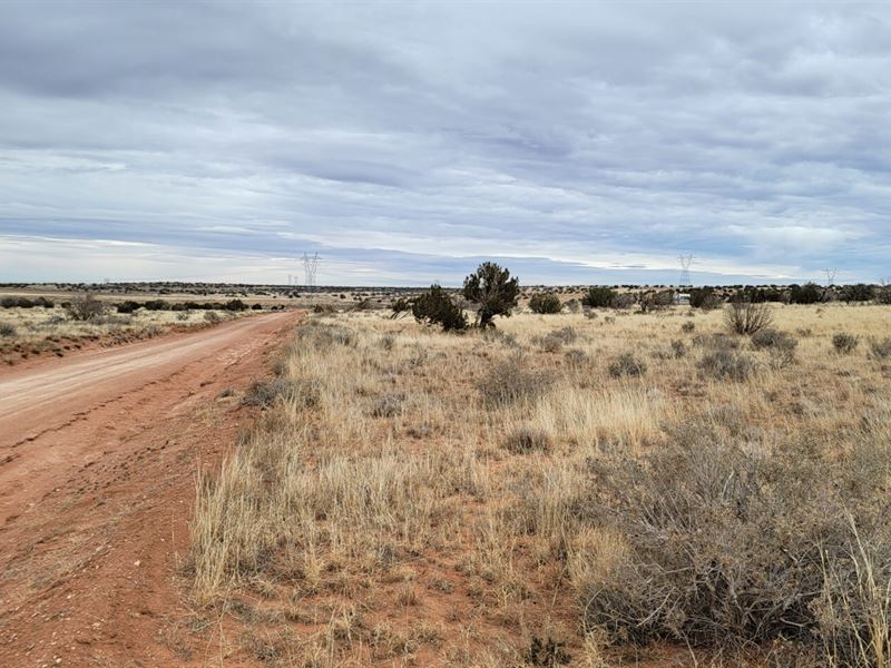 11.49 Acres to Enjoy The Privacy : Heber : Navajo County : Arizona