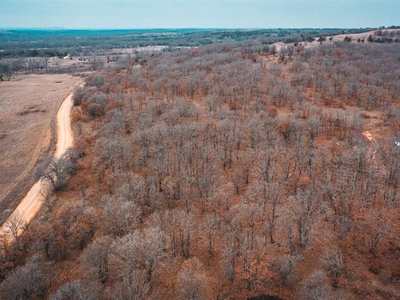 Chautauqua Hills Farm & Hunt, Trac : Sedan : Chautauqua County : Kansas