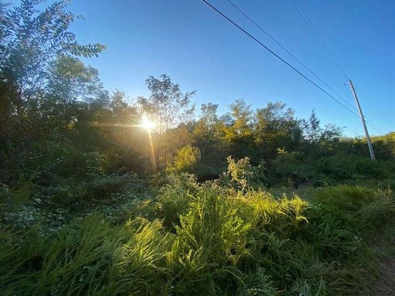 48.13 Acres Wooded Property Locat : South Pittsburg : Marion County : Tennessee