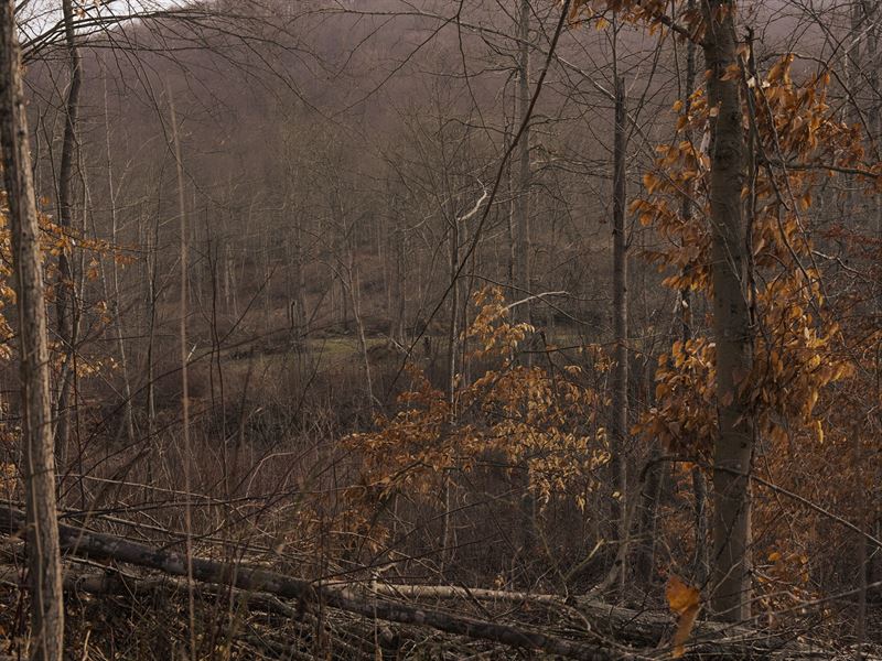 Pike County, Ohio Land for Sale : Latham : Pike County : Ohio