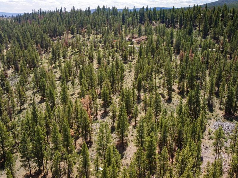 Ten Acres Await : Beatty : Klamath County : Oregon