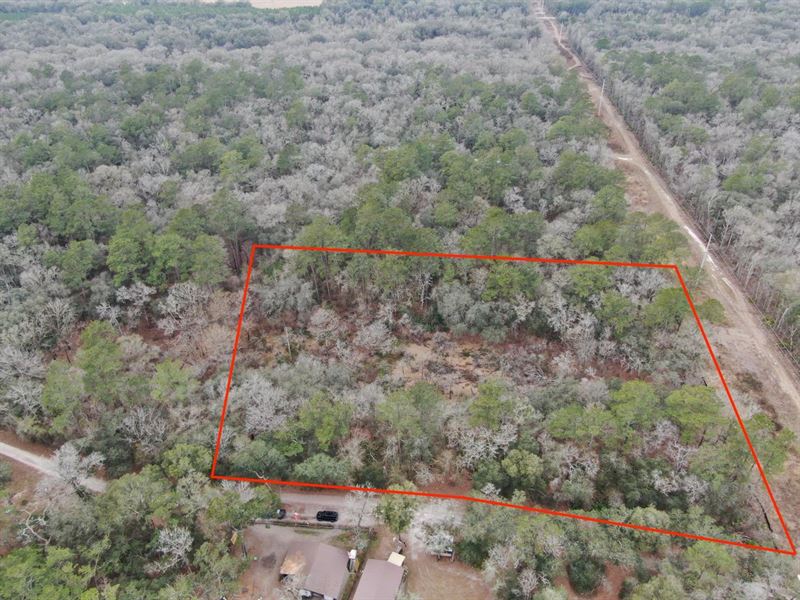 Beautiful 6.69 Acres Near The Histo : Mayo : Lafayette County : Florida