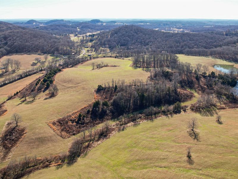 Cool Springs Farm : Thompsons Station : Williamson County : Tennessee