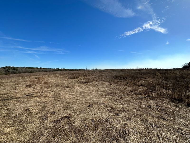 28.729 Acres, Open : Hephzibah : Richmond County : Georgia