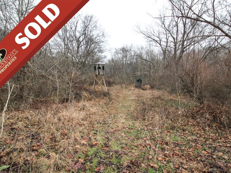 TR 53, 67 Acres, Noble County : Dexter City : Noble County : Ohio