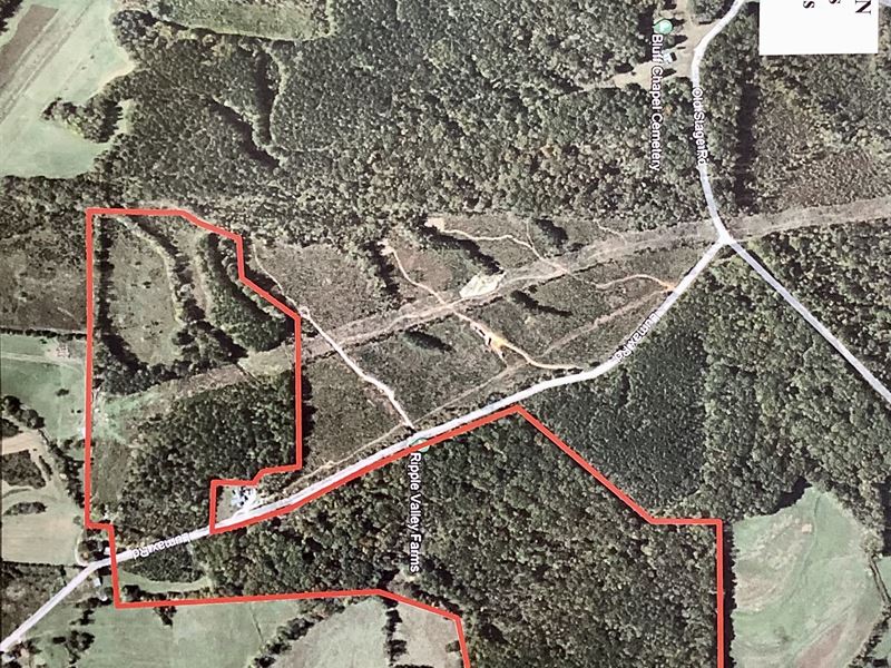 Select-Cut Rural Hunting Land : Decaturville : Decatur County : Tennessee