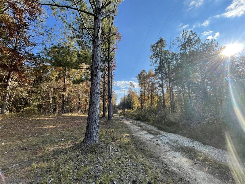 112 Ac in Lee County with Lake : Opelika : Lee County : Alabama