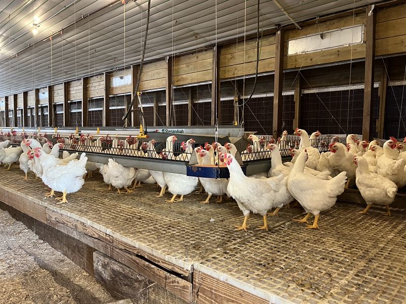 2018 Breeder Farm for Sale : Alto : Cherokee County : Texas