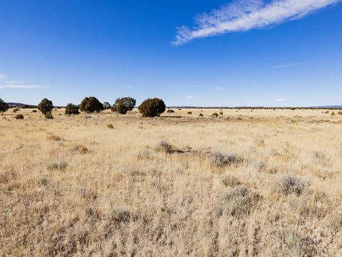 Want to Get Away From it All : Ramah : Cibola County : New Mexico