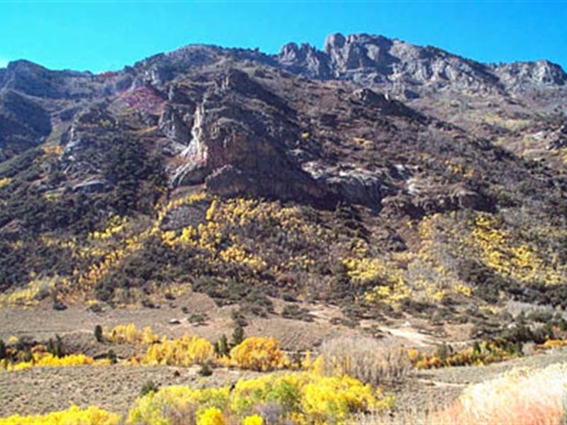 40 Acres in Humboldt County : Golconda : Humboldt County : Nevada