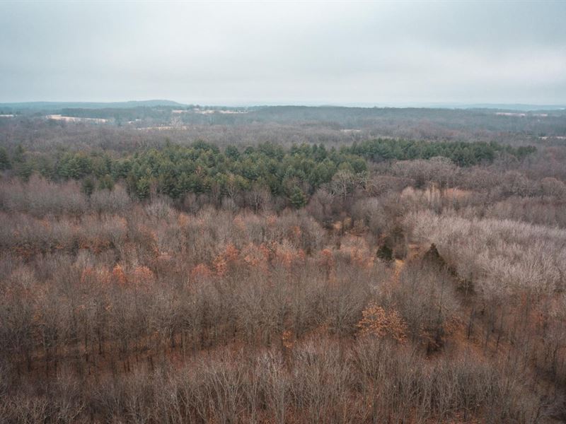 Butler Pond 56 : Bourbon : Crawford County : Missouri