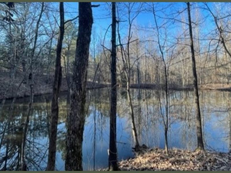 45 Acres in Holmes County in Cruger, Farm for Sale in Mississippi