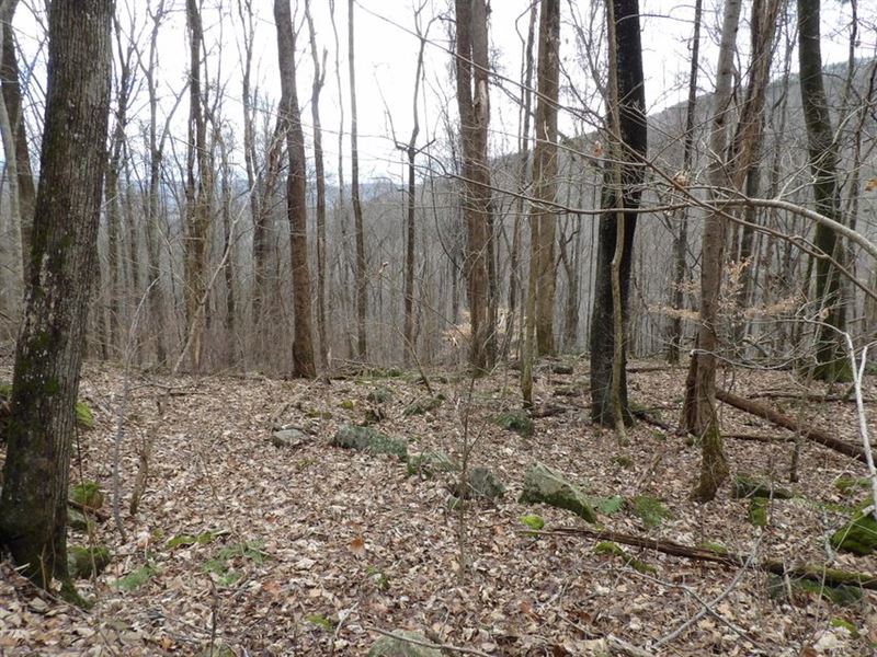 Seasonal Views, Private : Pikeville : Bledsoe County : Tennessee