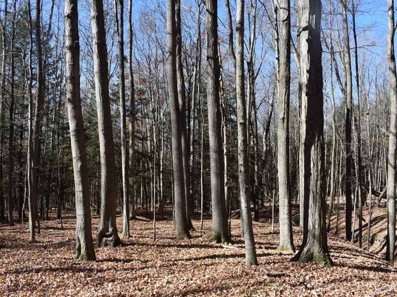 Woodhull Whitetails, Farm for Sale in New York, 341568 FARMFLIP