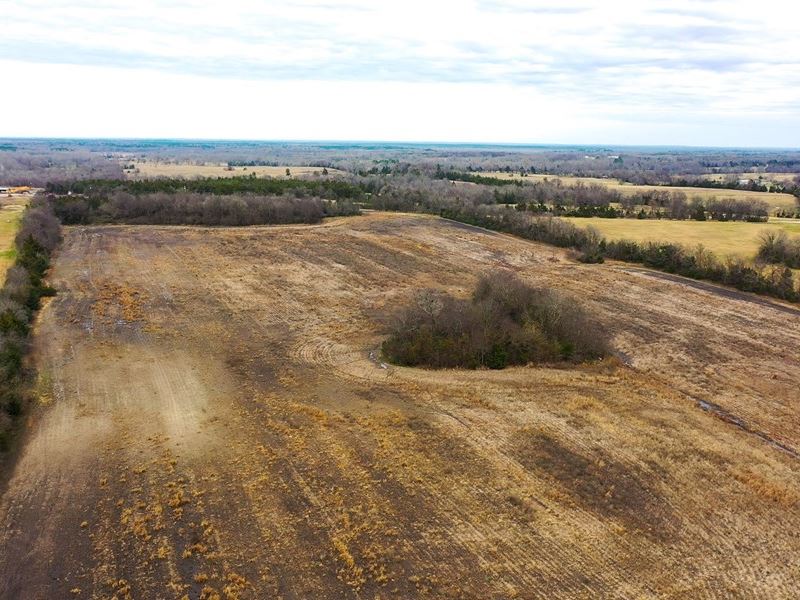 Recreational Land for Sale : Clarksville : Red River County : Texas