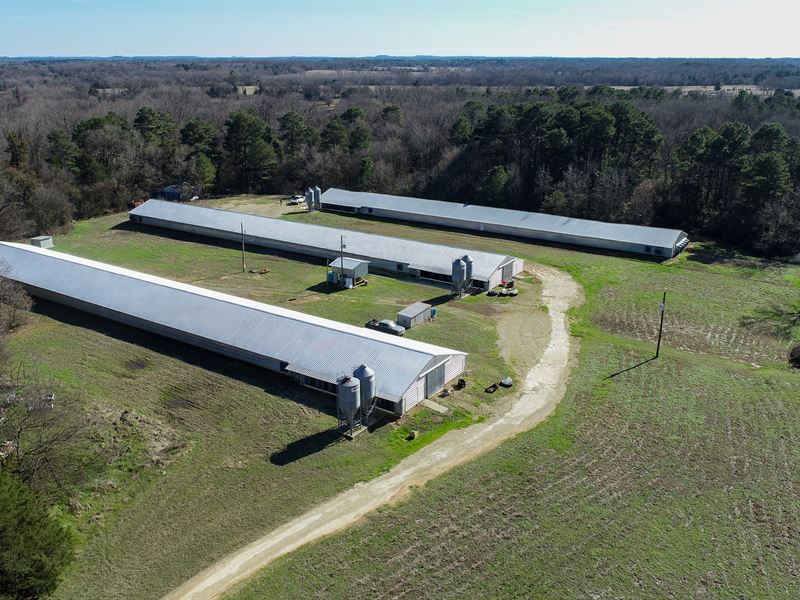 9 Acre Poultry Farm Camp County, TX, Farm for Sale in Texas, 342026