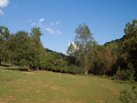 5 Ac. Griffin Rd Fenced for Horses : Cartersville : Bartow County : Georgia