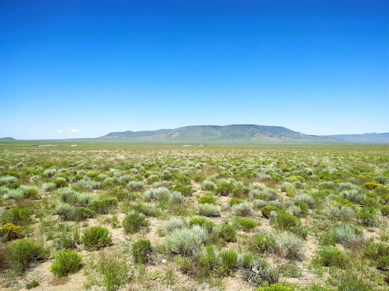 Remote Land with Good Road Access, Farm for Sale by Owner in Colorado
