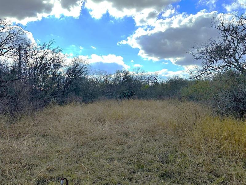Bee Toro Creek Ranchette, Farm for Sale in Texas, 342137 FARMFLIP