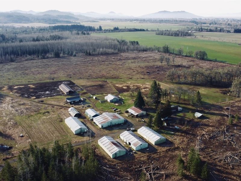 173 Acres in Lebanon, OR, Farm for Sale in Oregon, 342217 FARMFLIP