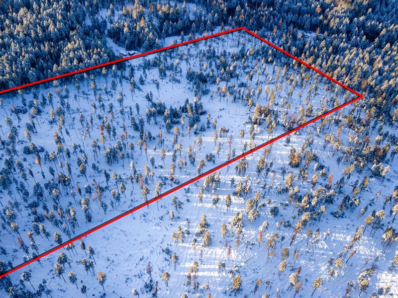 20 Ac with Stunning Mountain View : Curlew : Ferry County : Washington