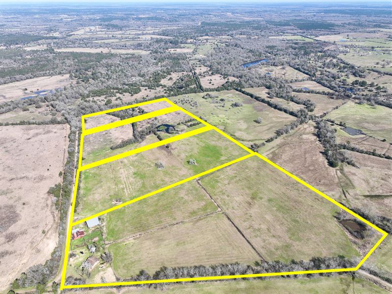 14 Acres, T-12 County Road 3625 : Lovelady : Houston County : Texas