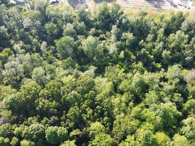 740K Sqft in Atco, NJ, Farm for Sale by Owner in New Jersey, 342382