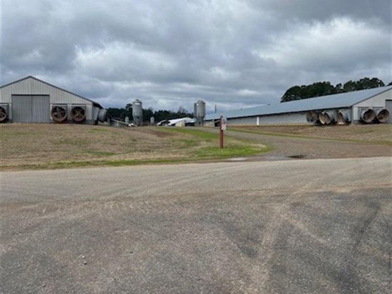 8 House Broiler Farm : Dubach : Lincoln Parish : Louisiana