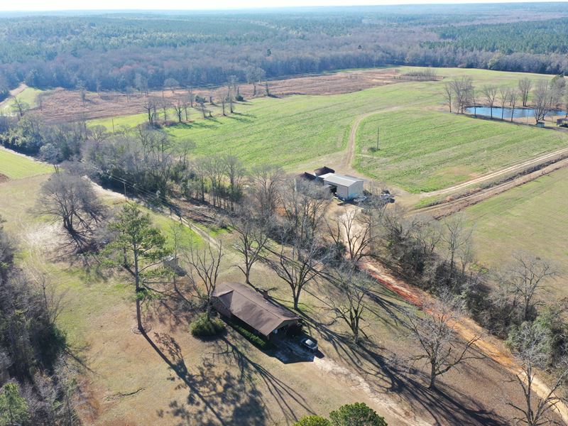 Choctahatchee Creek Farm : Preston : Webster County : Georgia