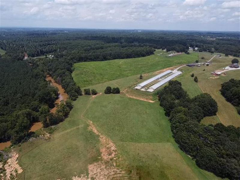 Profitable Poultry and Cattle Farm : Statesville : Iredell County : North Carolina