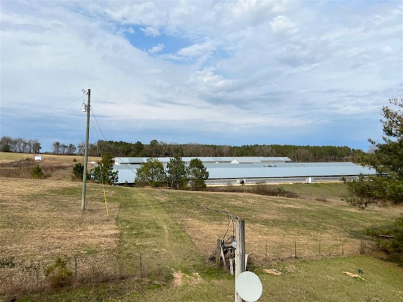 4 House Breeder Farm with Acreage, Farm for Sale by Owner in Alabama