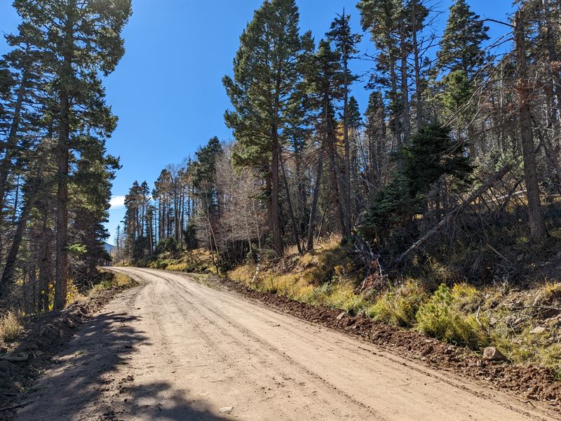 RV Friendly Lot, Power Nearby : Fort Garland : Costilla County : Colorado