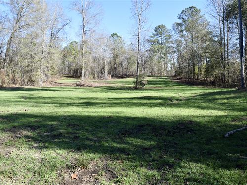 Bay Creek Homesite & Hunting : Fort Valley : Peach County : Georgia