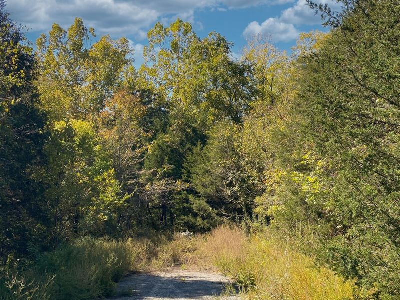 17 Adjacent Lots Near 3 Lakes, Golf : Horseshoe Bend : Arkansas County : Arkansas